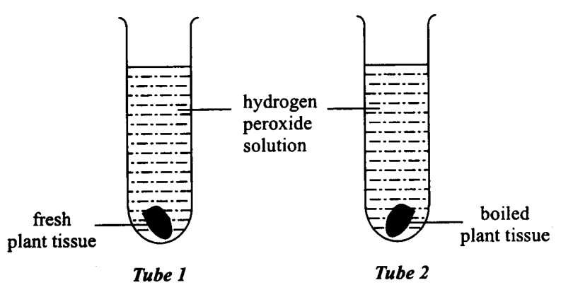 Question figure