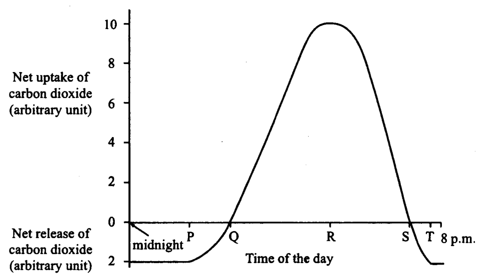 Question figure