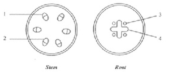 Question figure