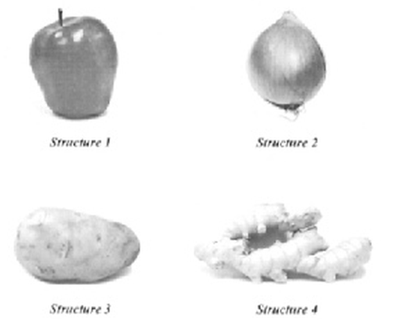 Question figure