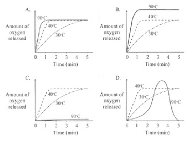 Question figure