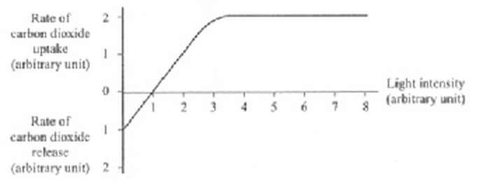 Question figure