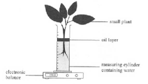 Question figure