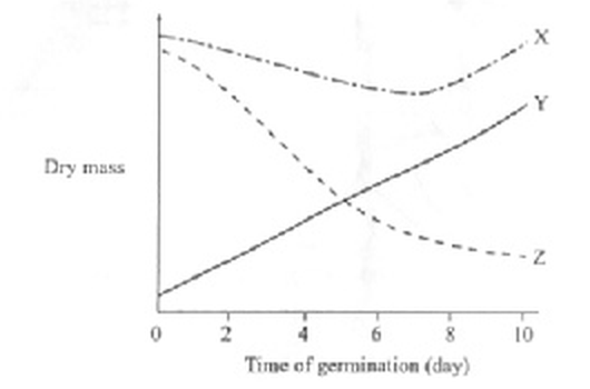 Question figure