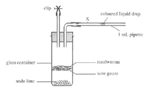 Question figure