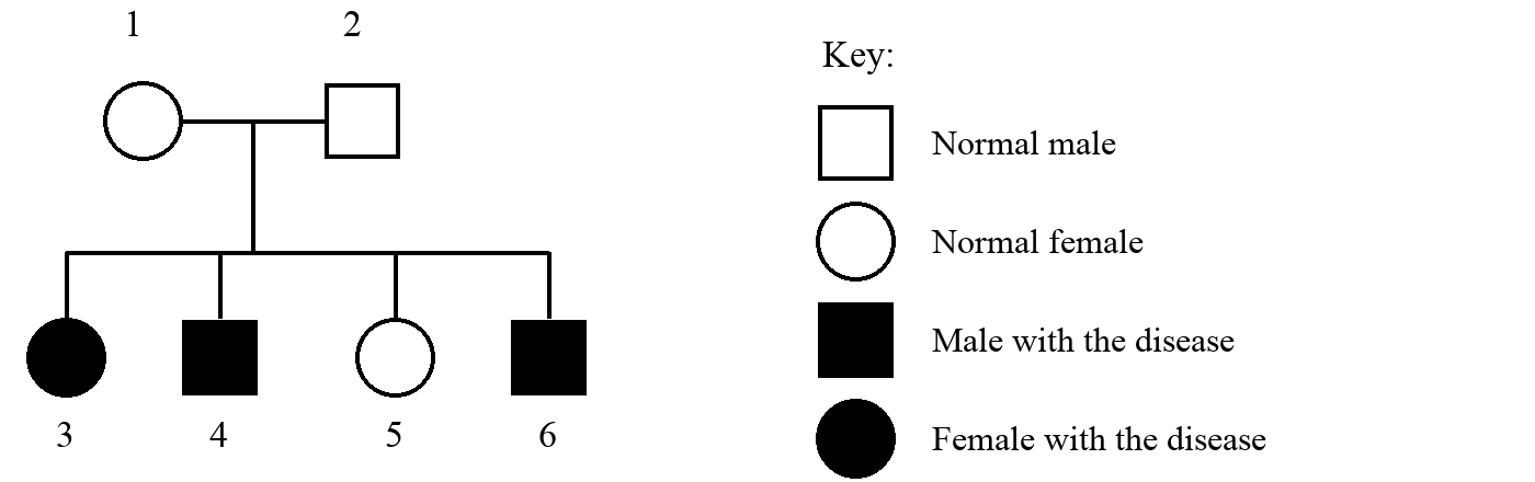 Pedigree of a family showing a hereditary disease