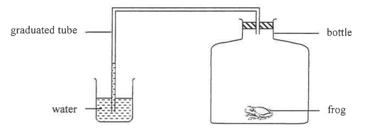 Question figure