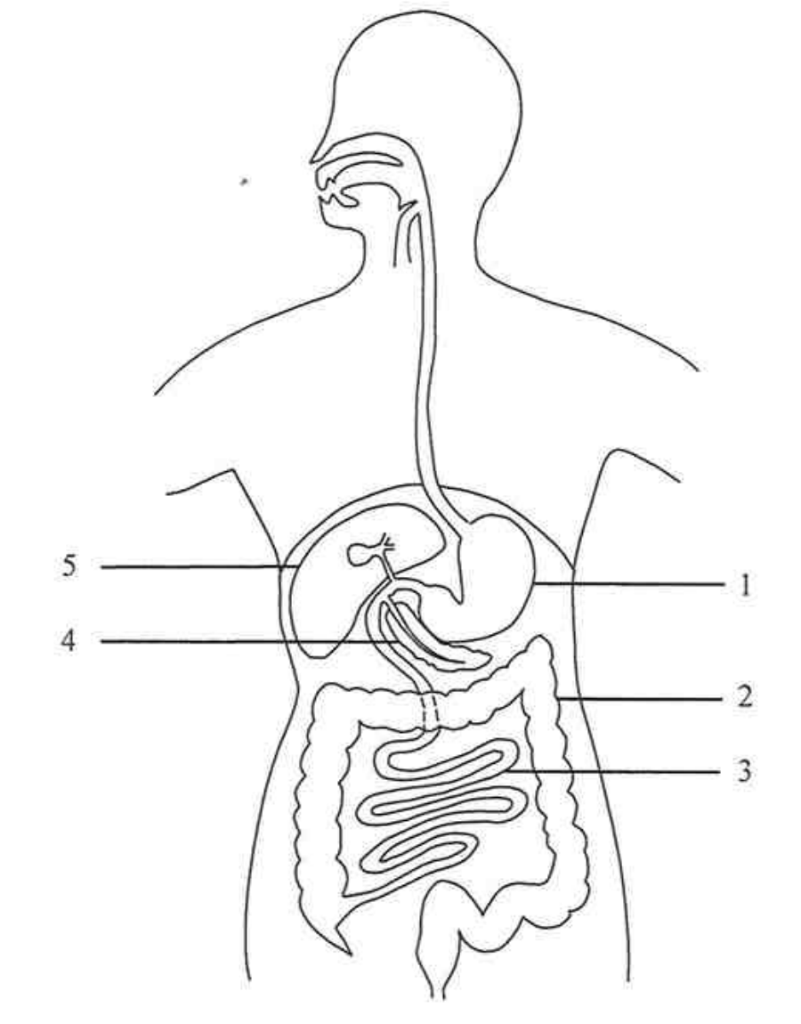 Question figure