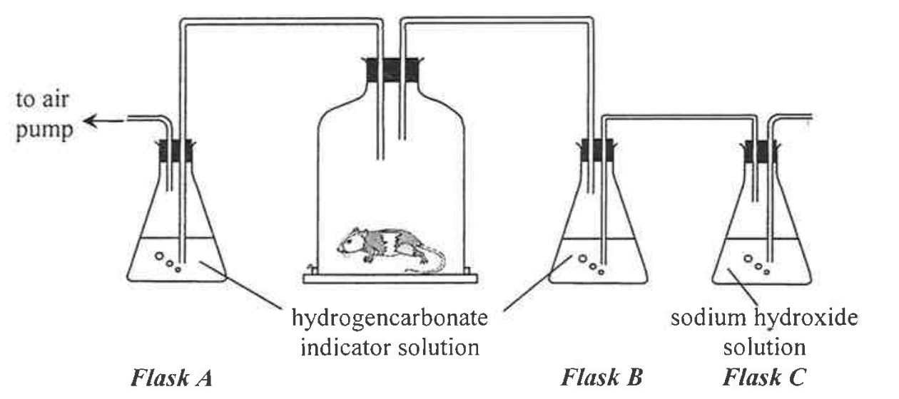 Question figure