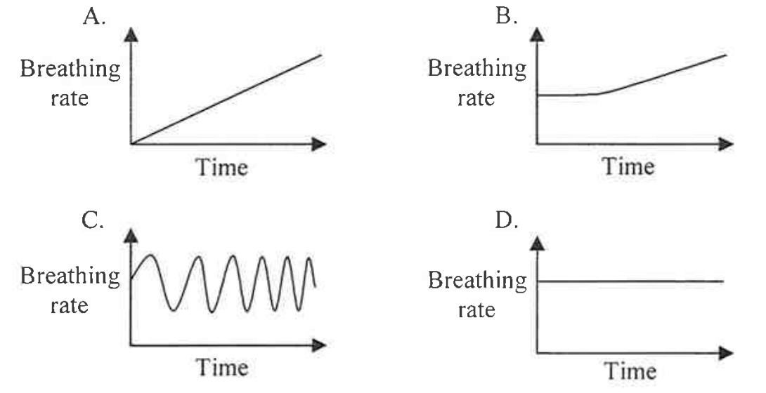 Graphs A to D of breathing rate against time