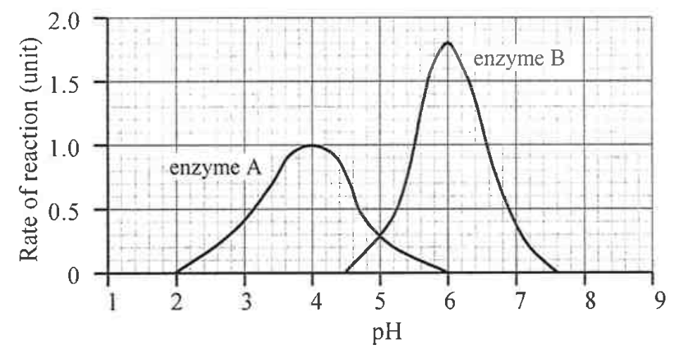 Question figure