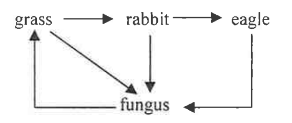 Flowchart of grass, rabbit, eagle and fungus