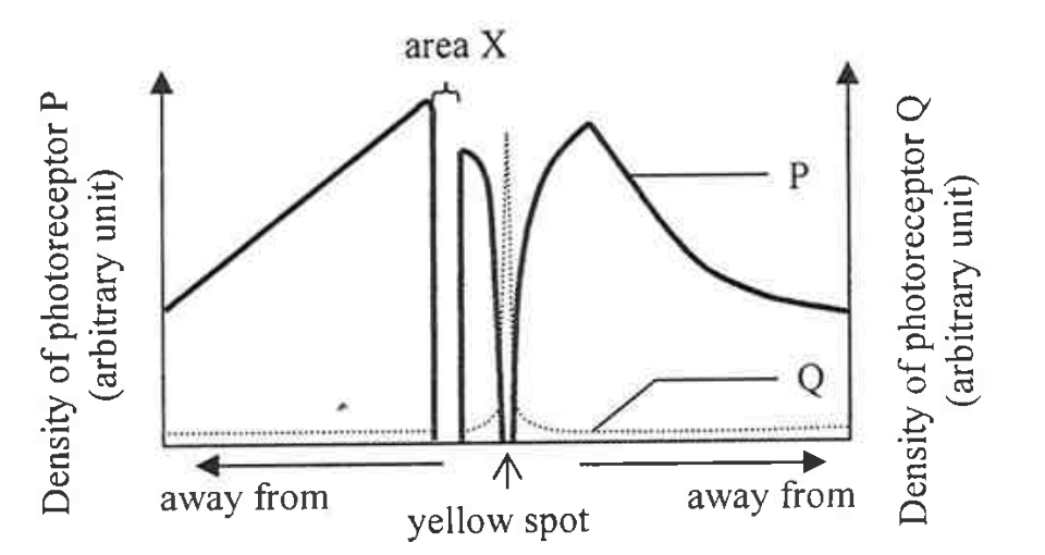 Question figure