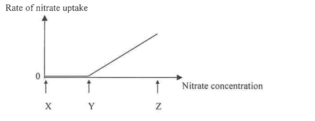 Graph of rate of nitrate uptake against nitrate concentration