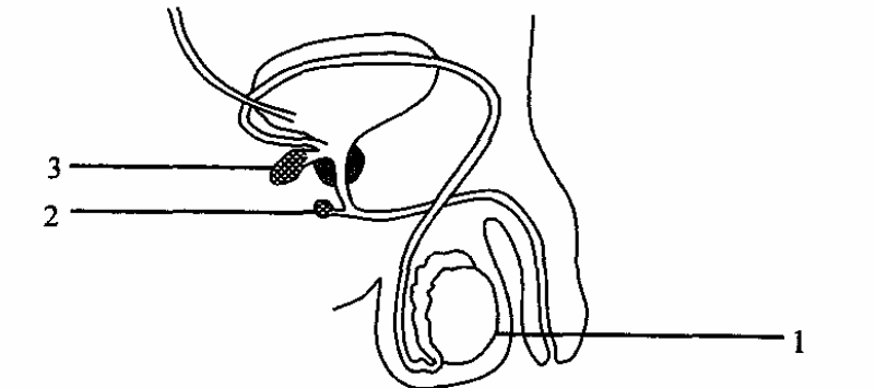 Question figure