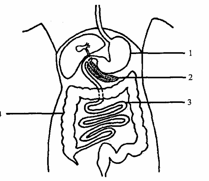 Question figure