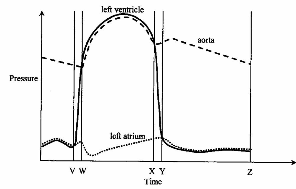 Question figure