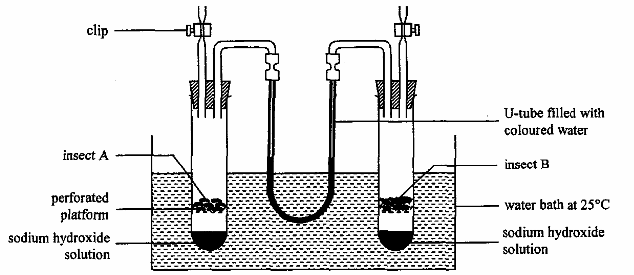 Question figure