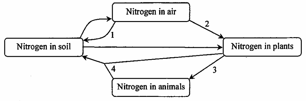 Question figure