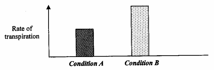 Question figure