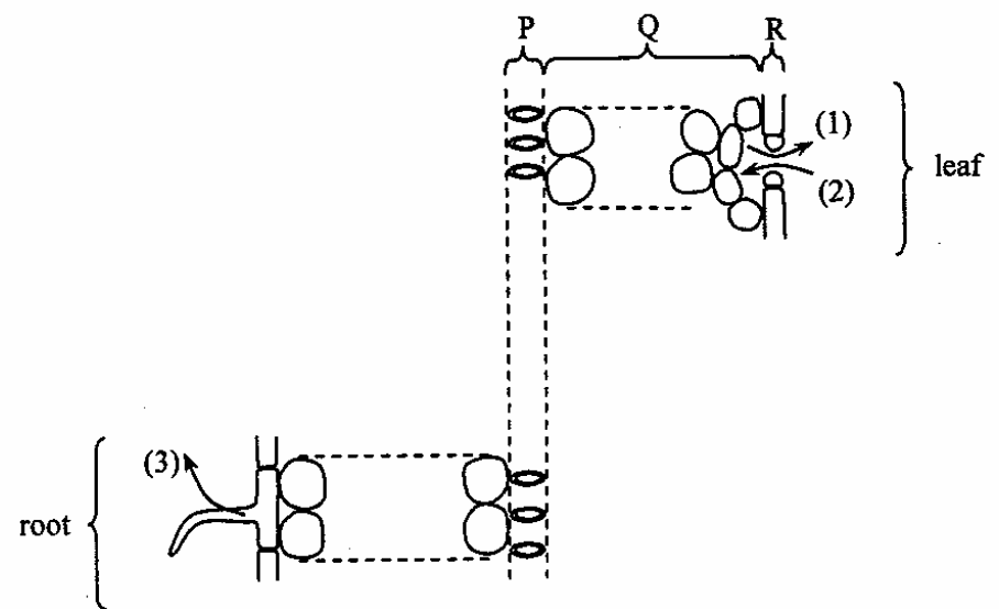 Question figure