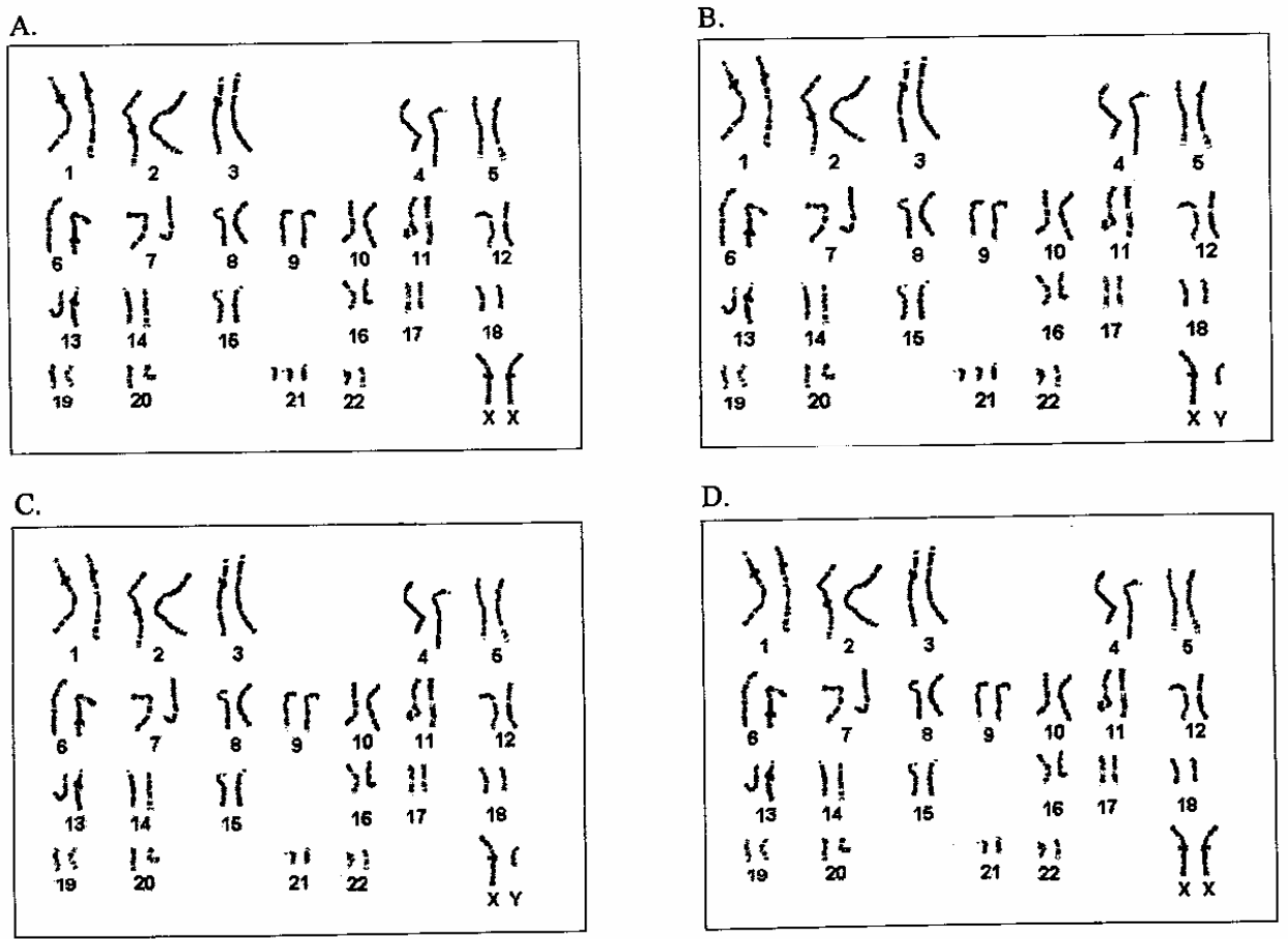 Question figure
