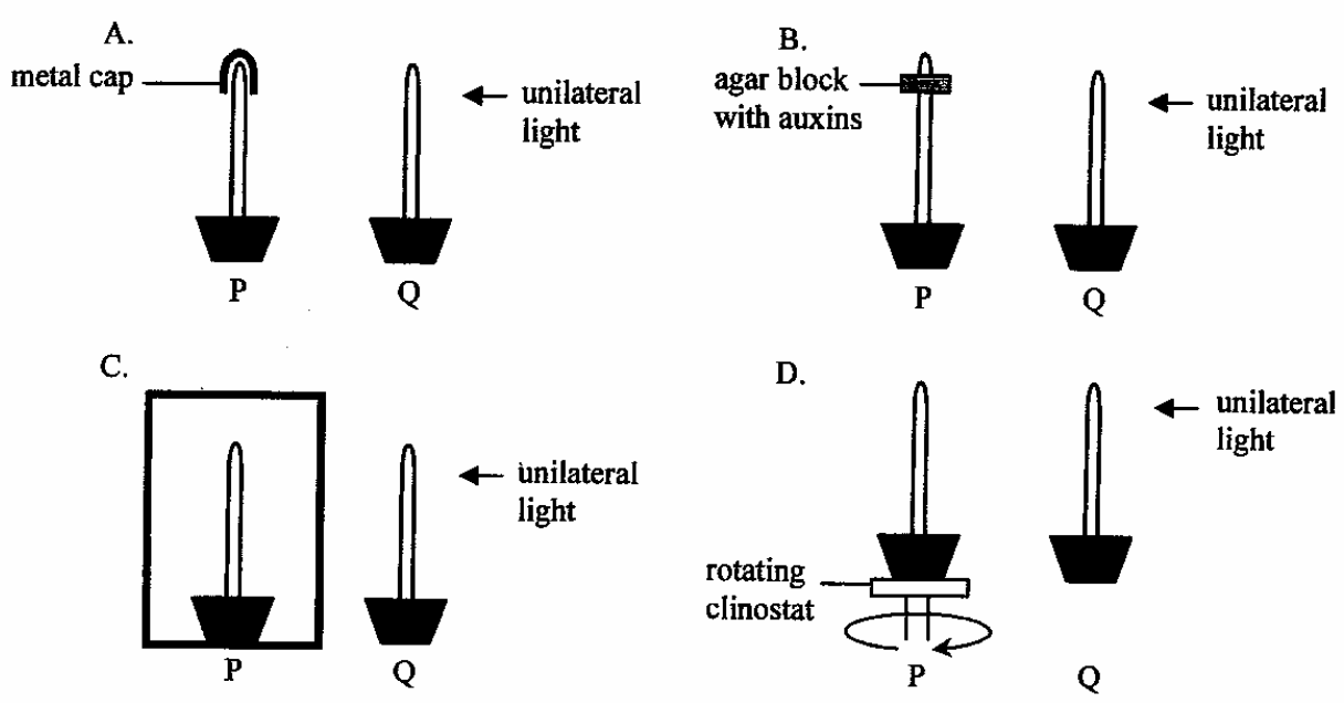 Question figure