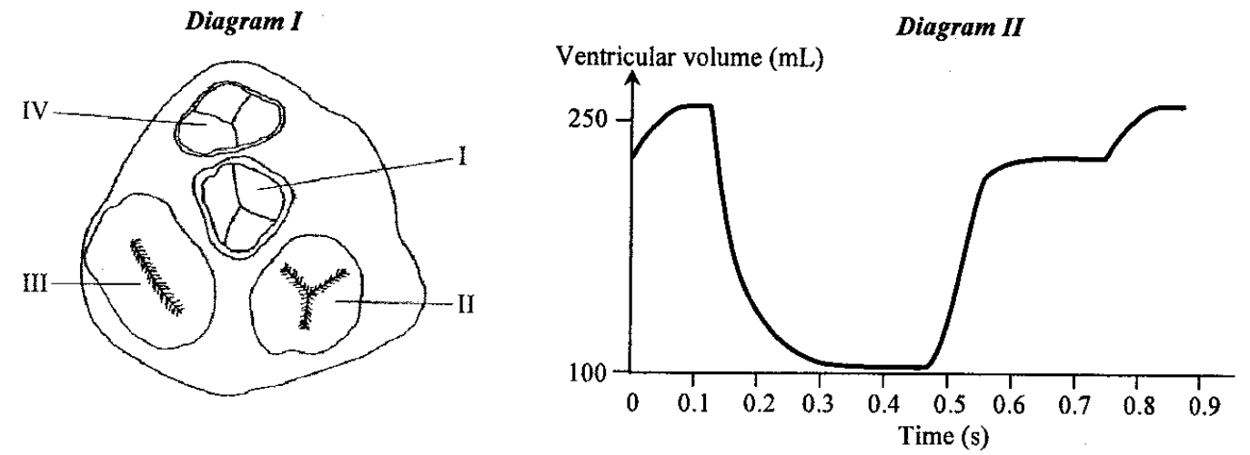 Diagram I: valves I to IV; Diagram II: ventricular volume against time