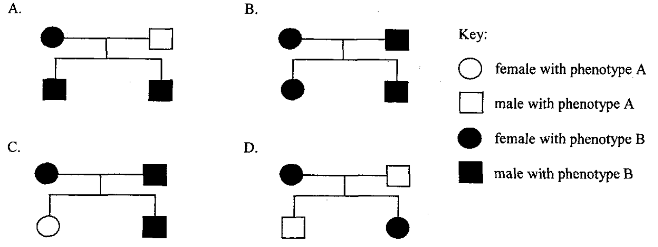 Four pedigrees A to D with key
