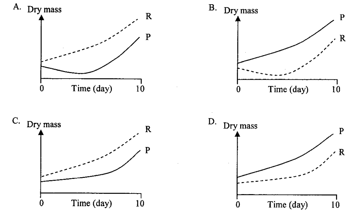 Graphs A to D of dry mass against time for P and R