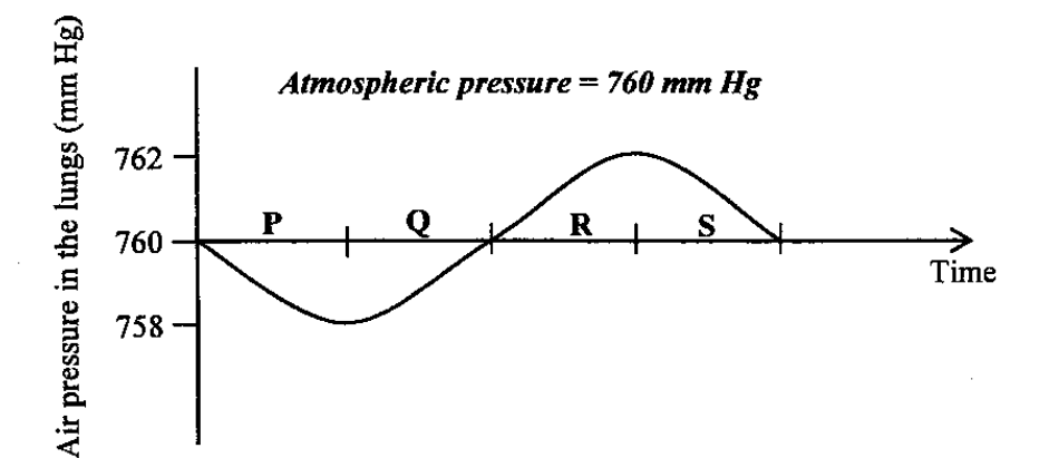 Question figure
