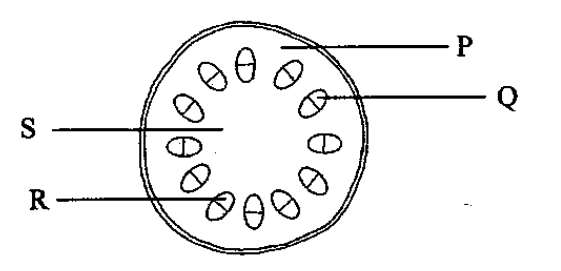 Question figure