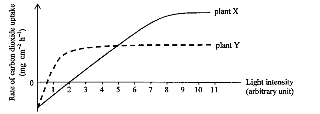 Question figure