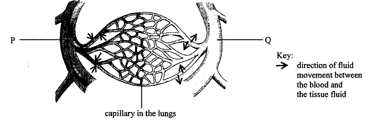 Question figure
