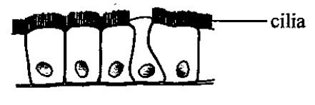 Question figure