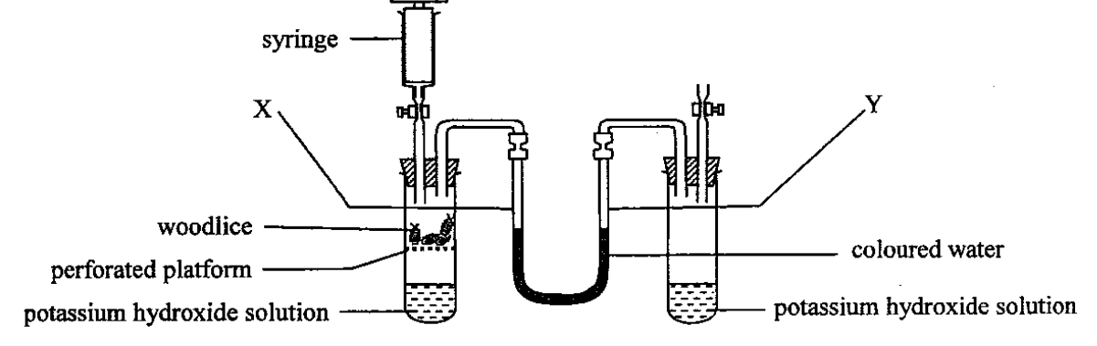 Question figure