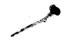 Question figure