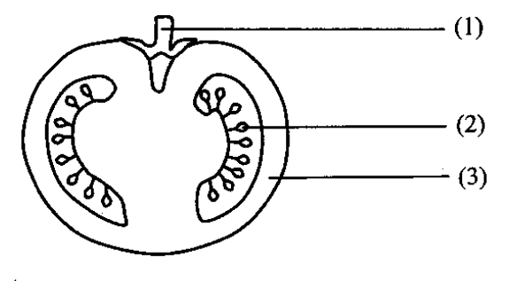 Question figure