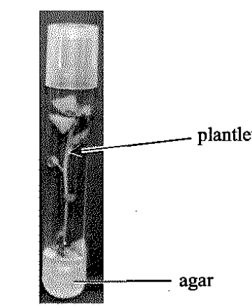 Question figure