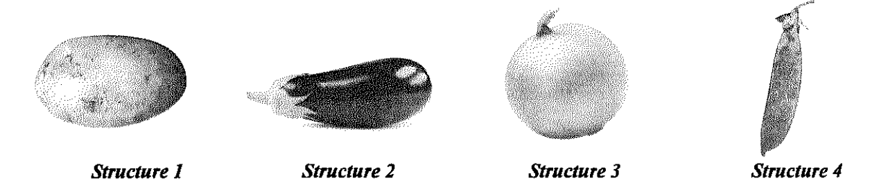 Question figure