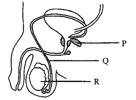 Question figure