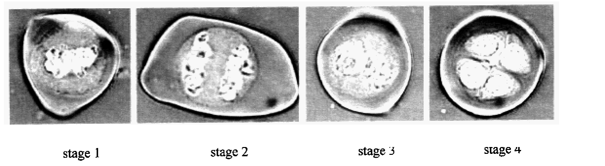 Question figure