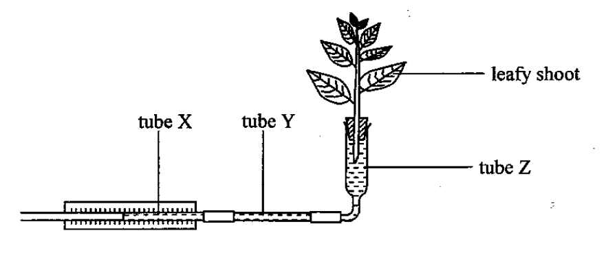 Question figure