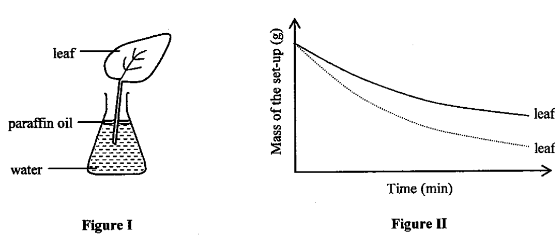 Question figure