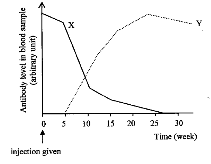 Question figure