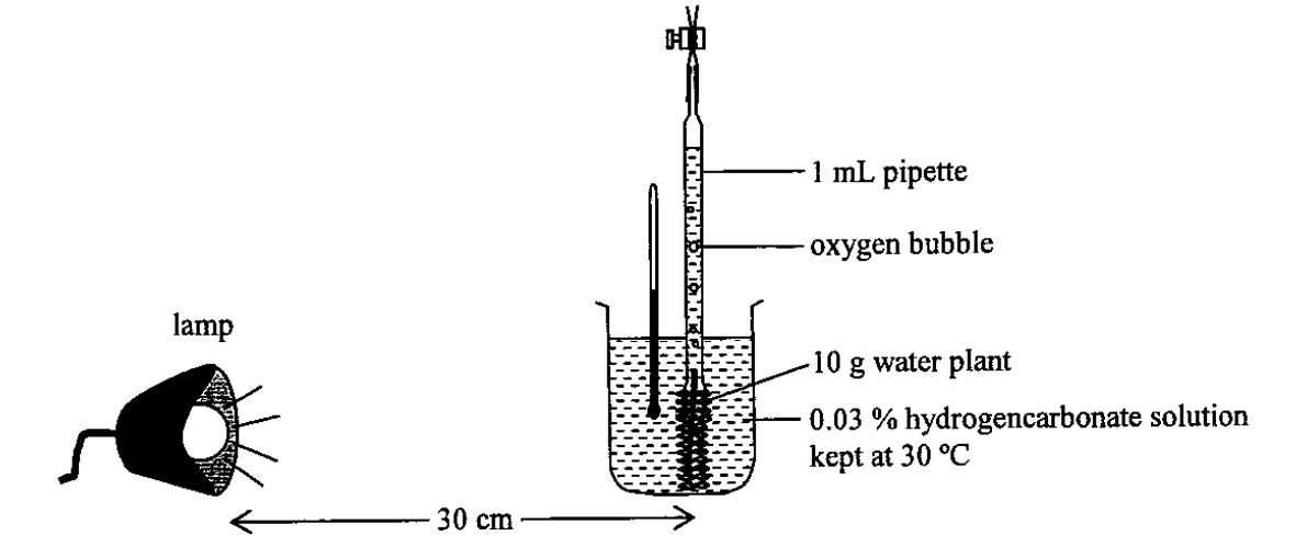Question figure