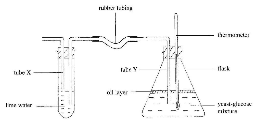Question figure