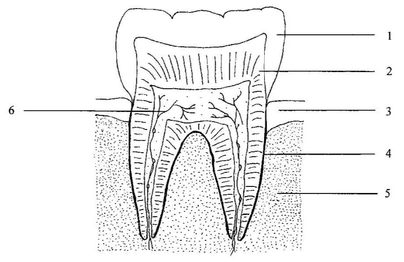 Shared diagram