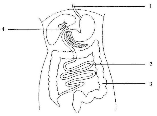 Question figure