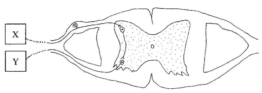Question figure